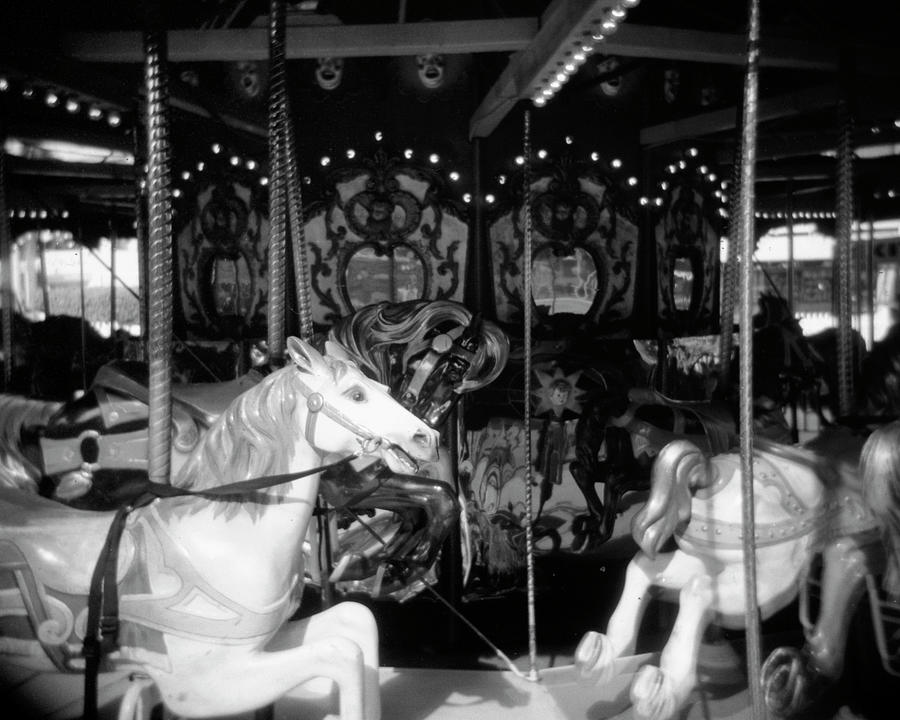 Animal Photograph - Carousel I #1 by Jim Christensen