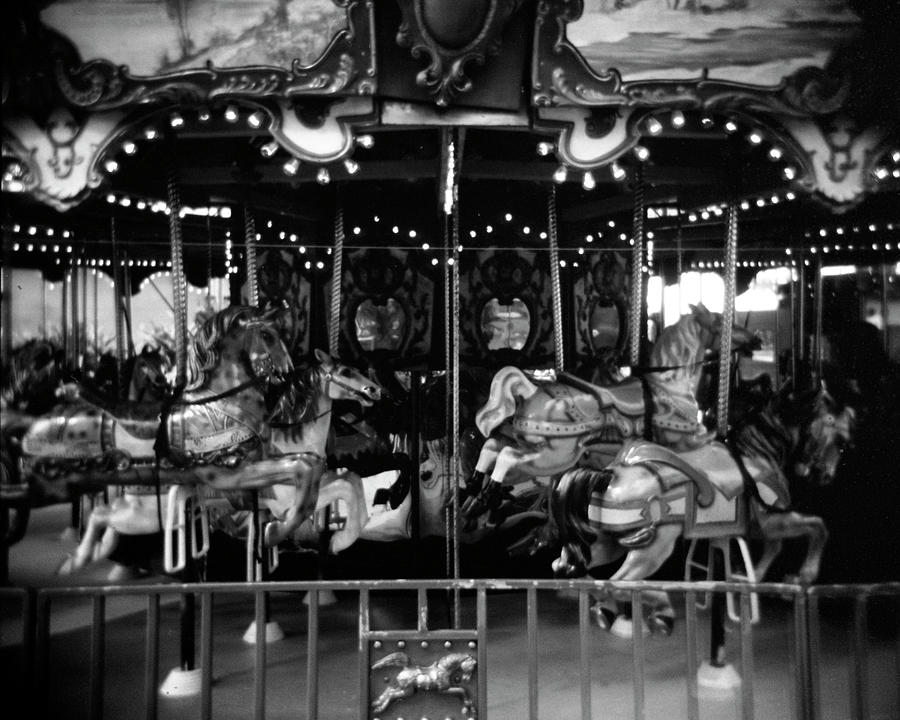 Animal Photograph - Carousel II #1 by Jim Christensen