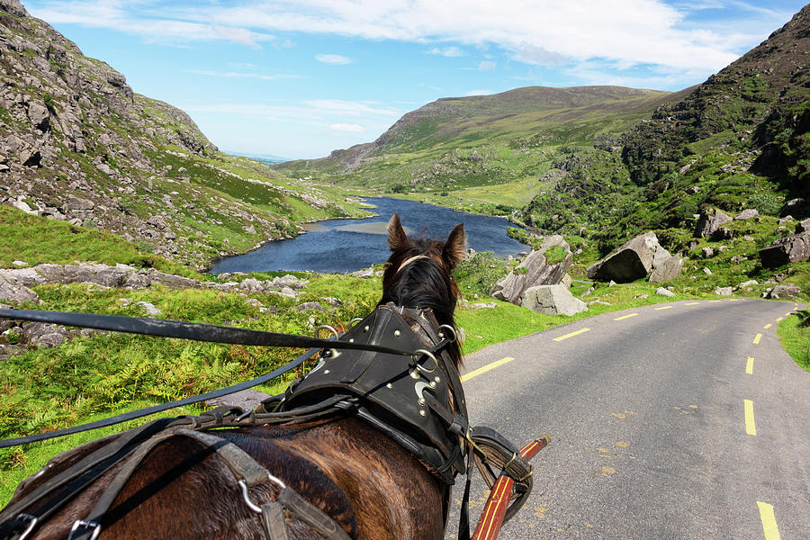 Carriage Ride On Gap Of Dunloe Road, Augher Lake, County Kerry, Ireland, Europe #1 Photograph by Konrad Wothe