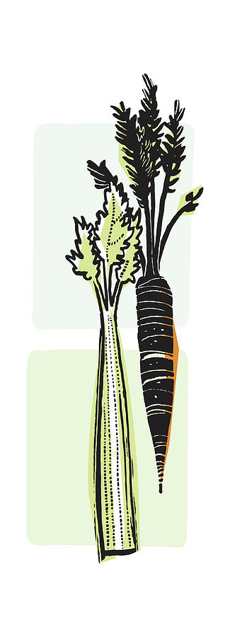 Carrot Drawing - Carrot and Celery #1 by CSA Images