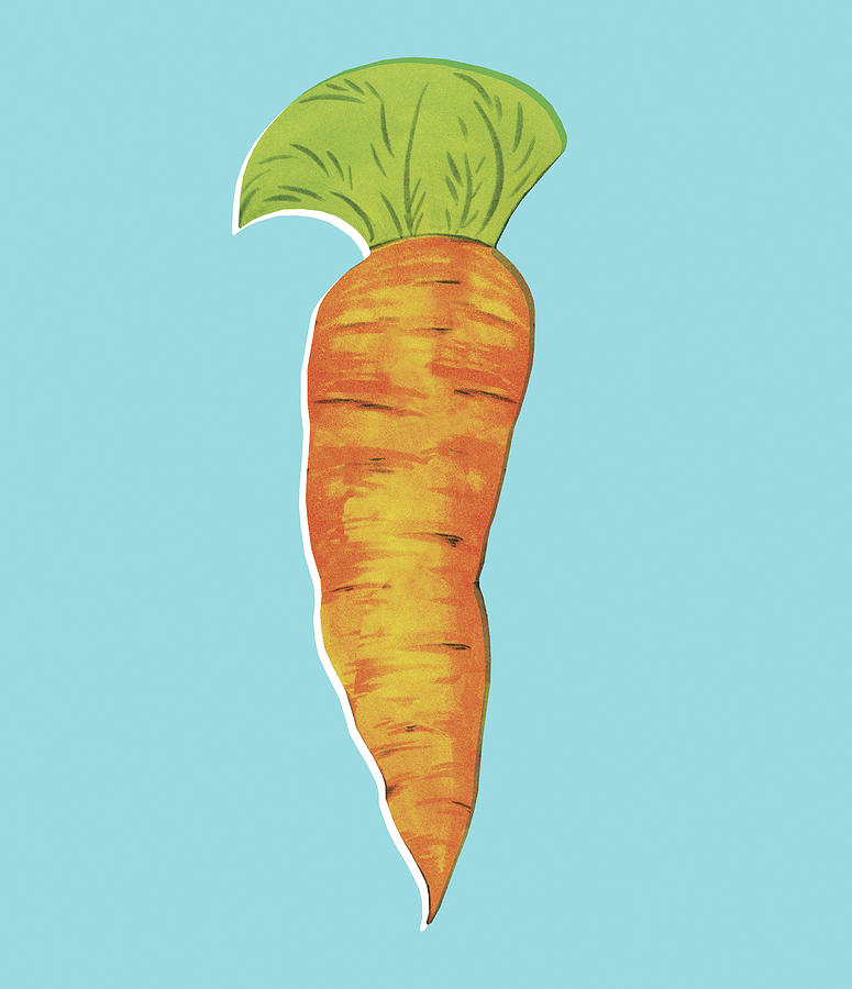 Carrot Drawing - Carrot #1 by CSA Images