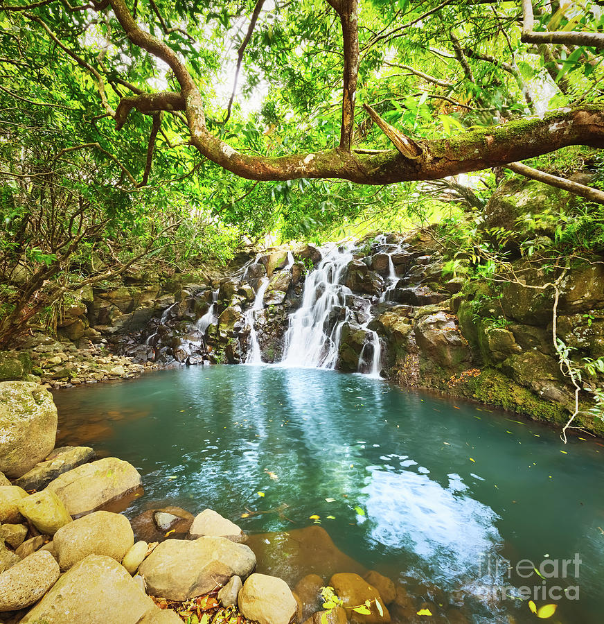 Cascade Vacoas Waterfall. Mauritius Photograph