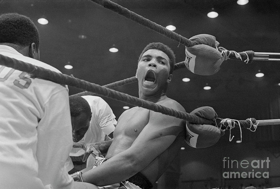 Celebrity Photograph - Cassius Clay After Winning Championship #1 by Bettmann