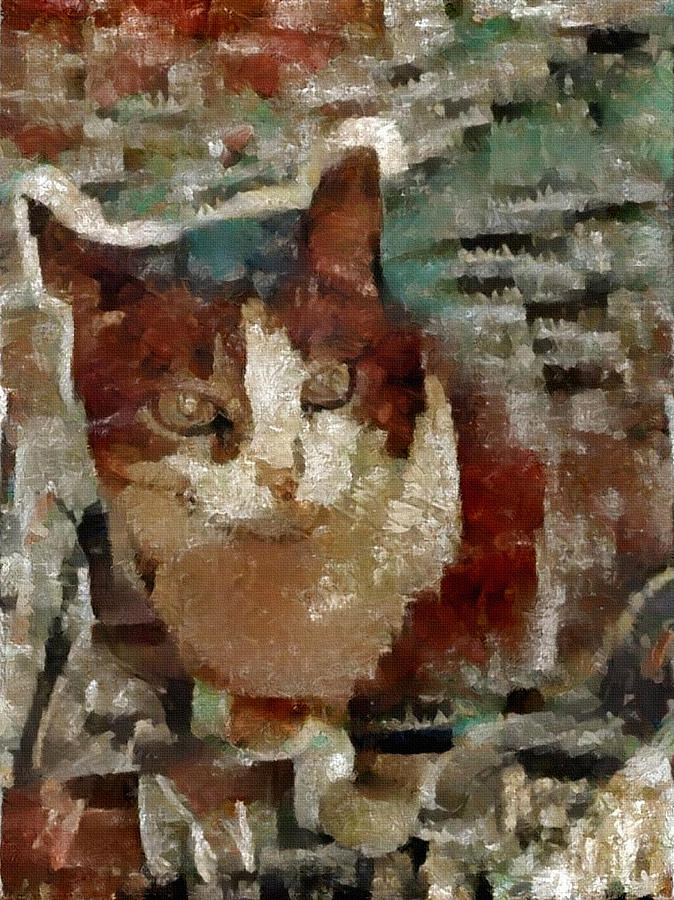 Cat #1 Digital Art by Bruce Rolff