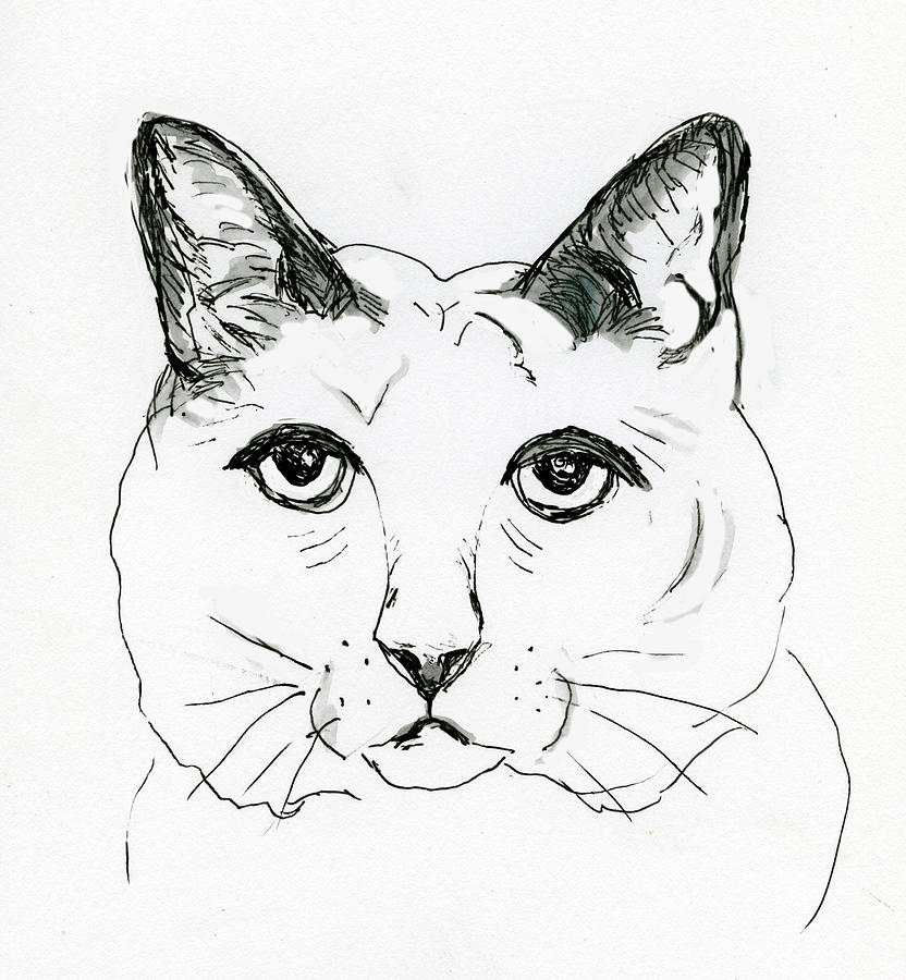 Drawing - Black cat face by RoseanneRamsden on DeviantArt