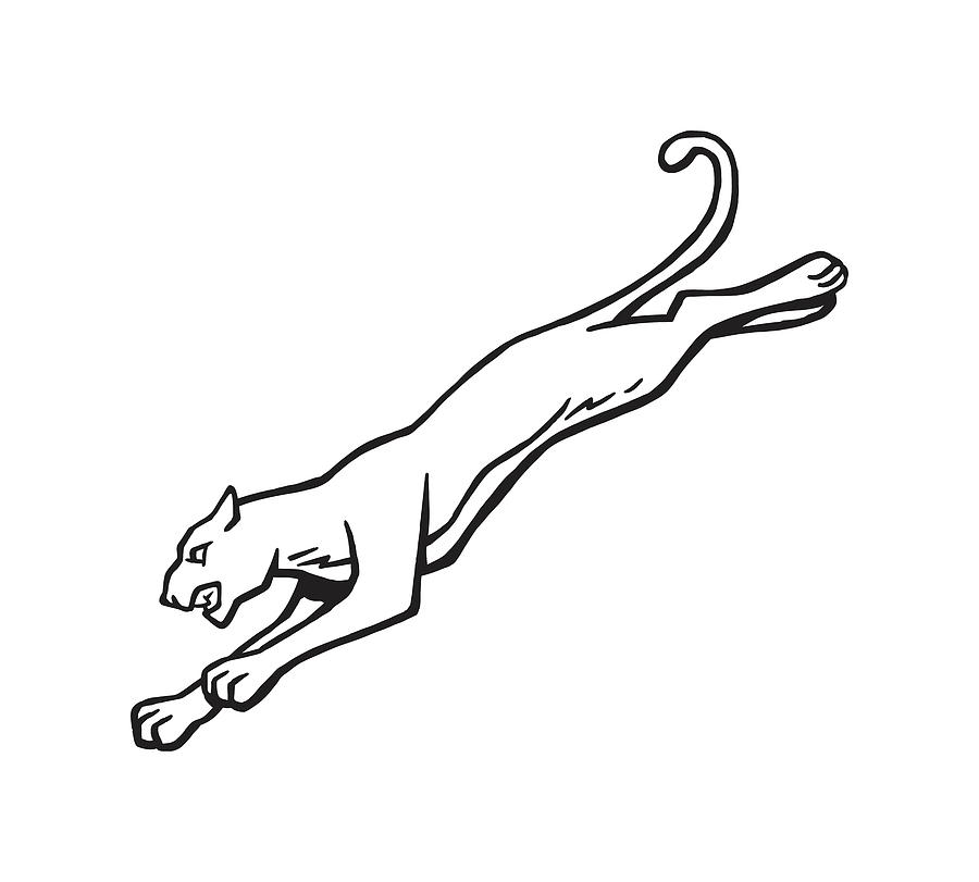 Cat Leaping Drawing by CSA Images - Fine Art America