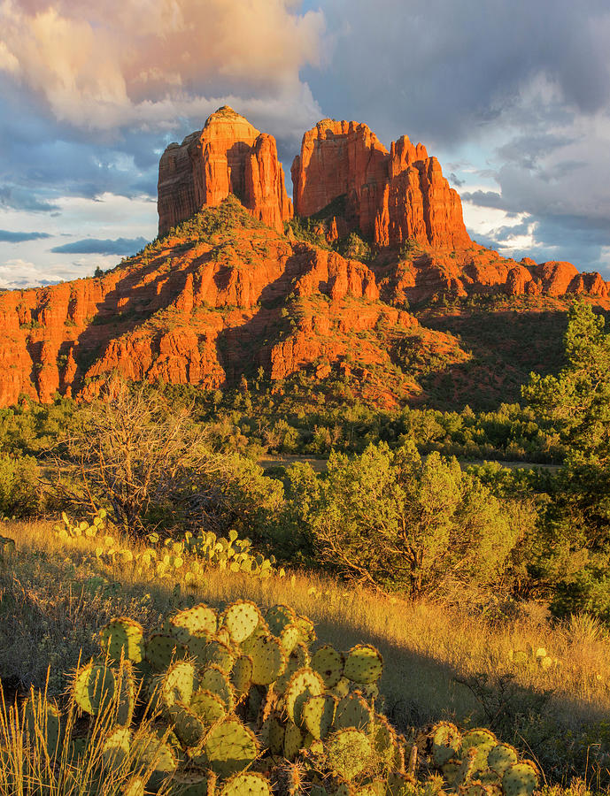Cathedral Rock, Coconino National Forest, Arizona #1 Photograph by Tim Fitzharris