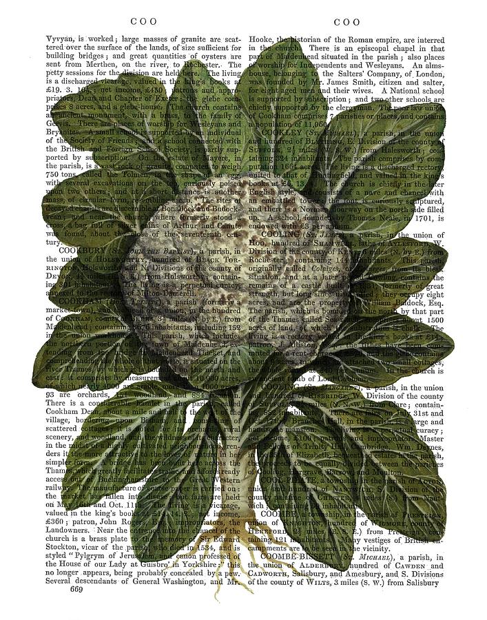 Cauliflower #1 Painting by Fab Funky - Fine Art America