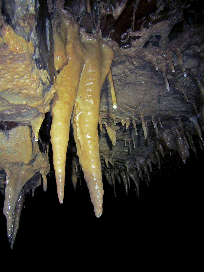 Cave Formations, Ozarks #1 Photograph by Dante Fenolio