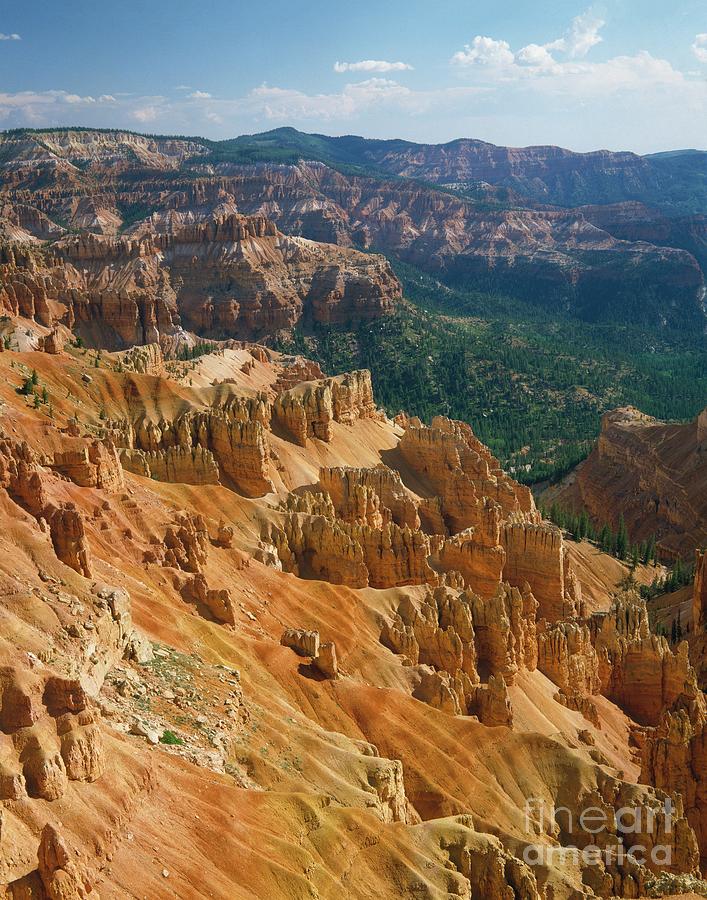 Cedar Breaks National Park Photograph by David Parker/science Photo Library