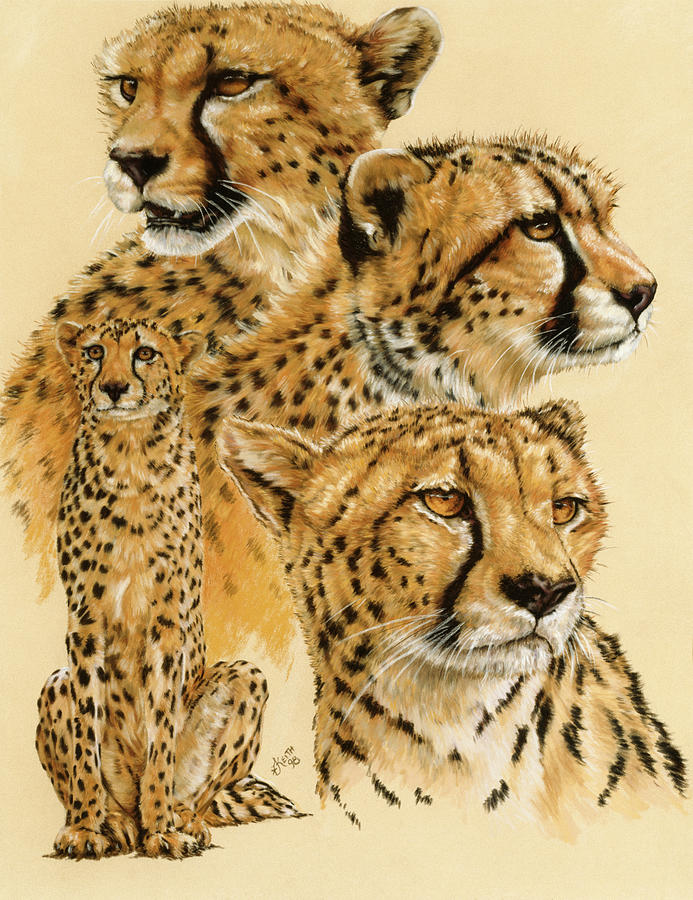 Cheetah Painting - Celerity #1 by Barbara Keith