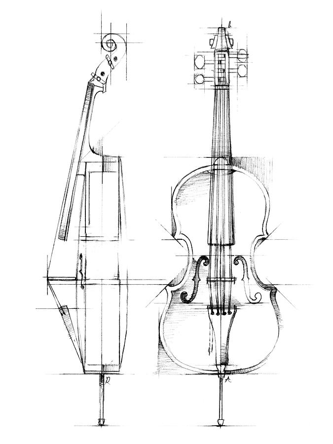 Premium Vector  Line art cello musical instrument vector sketch