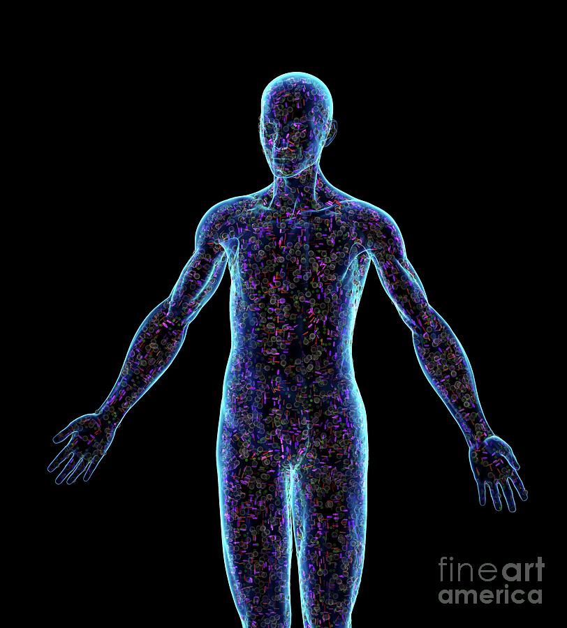 cells-in-a-human-body-photograph-by-ella-maru-studio-science-photo-library-pixels