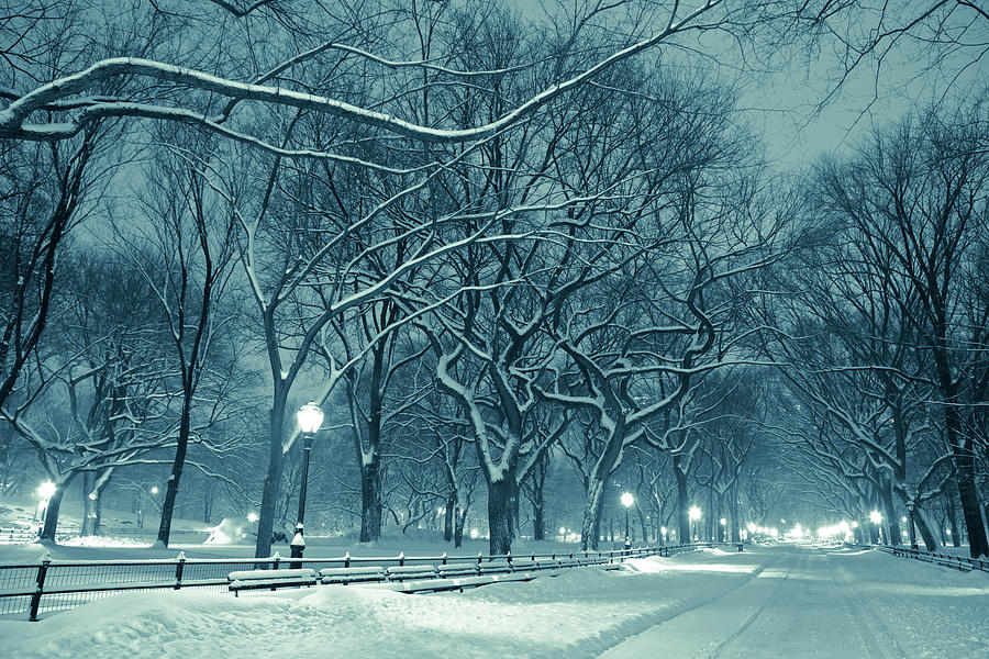 Central Park By Night During Snow Storm #1 Photograph by Pawel.gaul