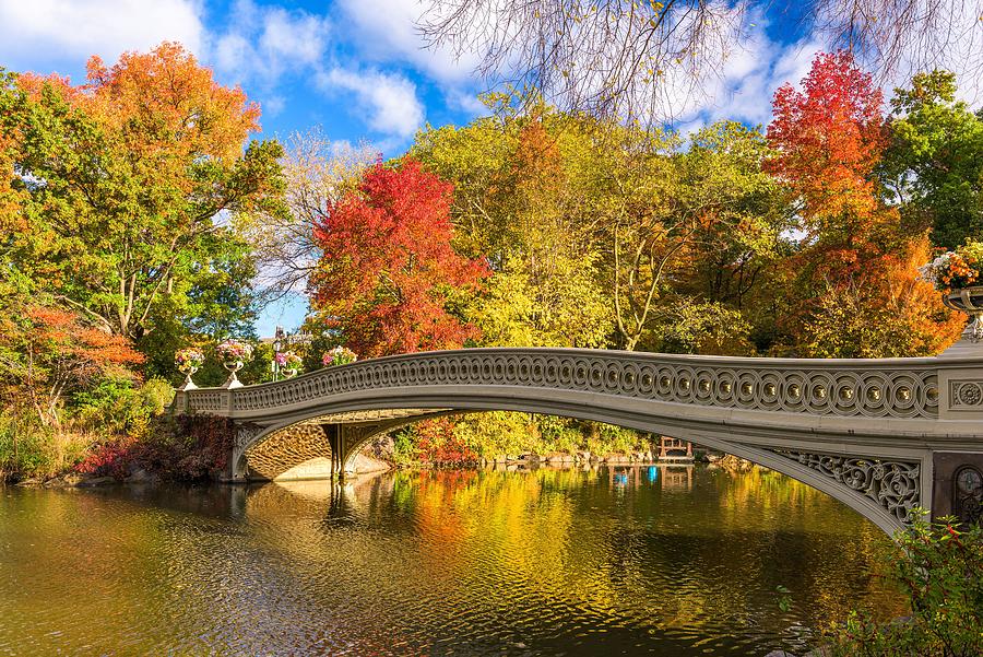 Central Park Photograph - Central Park, New York City, Usa #1 by Sean Pavone