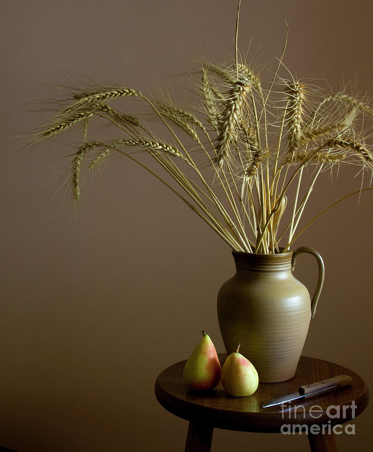 Pear Photograph - Ceramic pot and pears.Still Life #1 by Rita Kapitulski