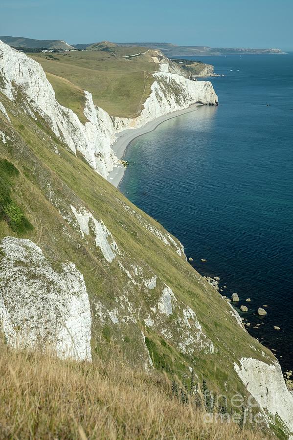 Chalk Cliffs #1 Photograph by Bob Gibbons/science Photo Library