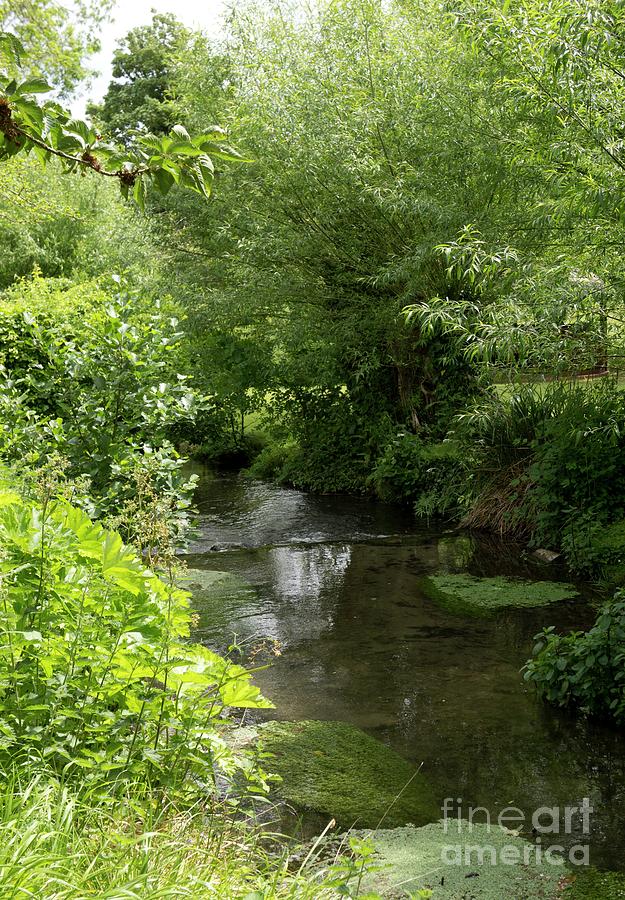 Chalk Stream #1 Photograph by Sheila Terry/science Photo Library - Fine ...