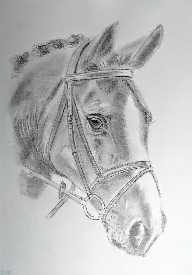 Champion Drawing by Paul Blackmore - Fine Art America