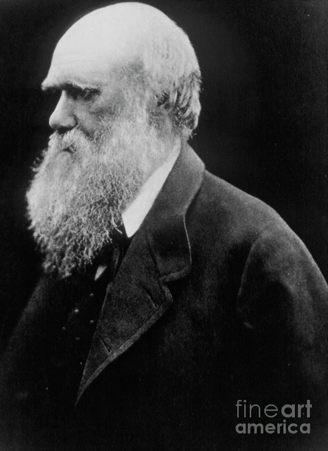 Charles Darwin As An Old Man #1 Photograph by National Library Of Medicine/science Photo Library