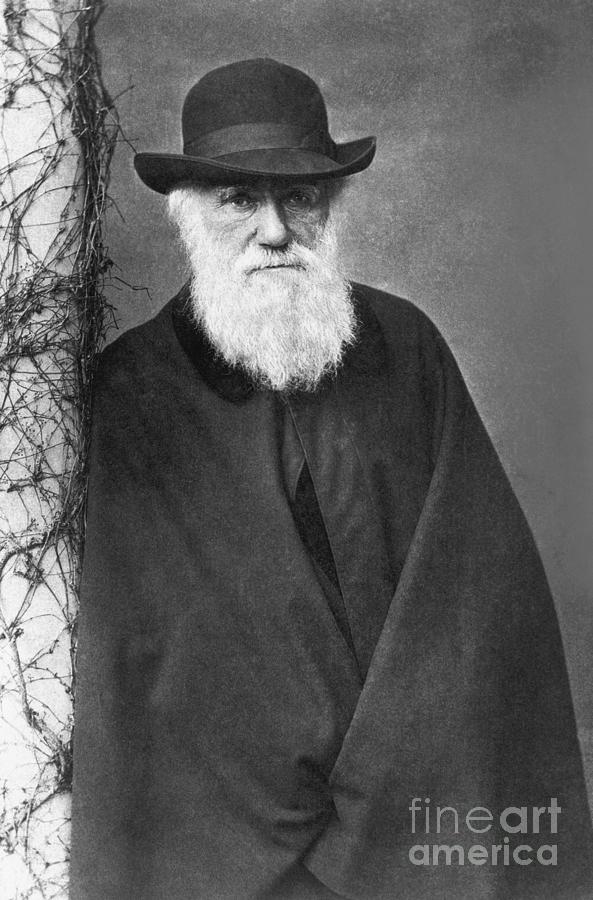Charles Darwin #1 Photograph by Bettmann