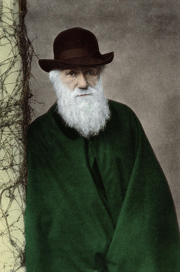 Charles Darwin #1 Photograph by Biophoto Associates