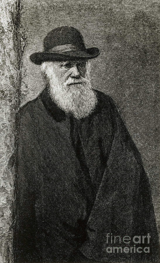 Charles Darwin #1 Photograph by Dr Jeremy Burgess/science Photo Library