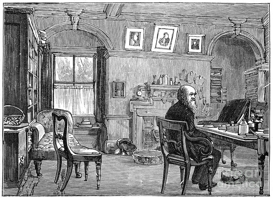 Charles Darwin, English Naturalist #1 Drawing by Print Collector