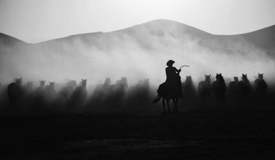 Horse Photograph - Chasing The Jades! #1 by Yavuz Pancareken