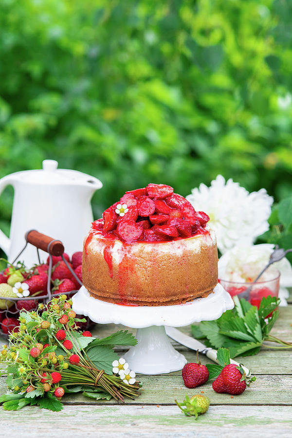 Cheesecake With Strawberries #1 Photograph by Irina Meliukh