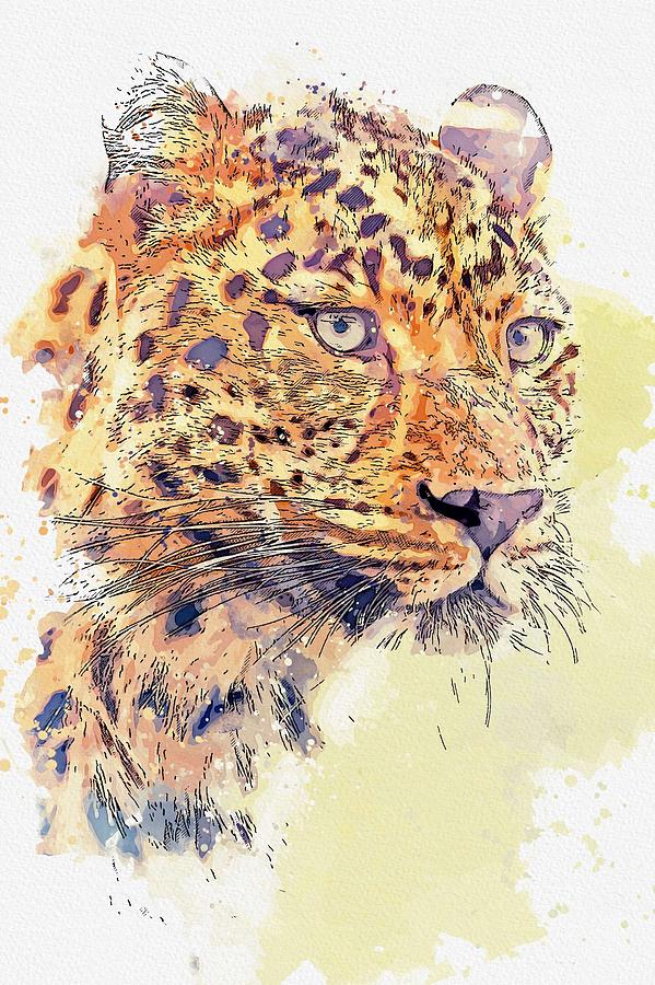 Wildlife Painting - Cheetah -  watercolor by Ahmet Asar #1 by Celestial Images