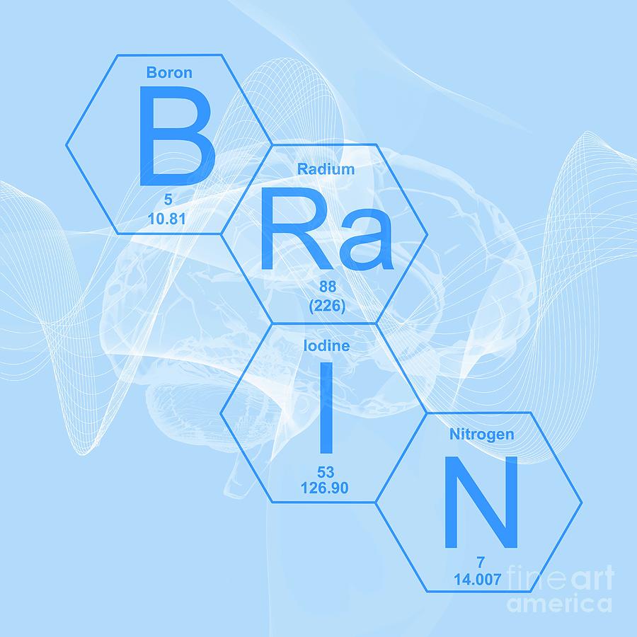 Chemical Elements Brain #1 Photograph by Mehau Kulyk/science Photo Library
