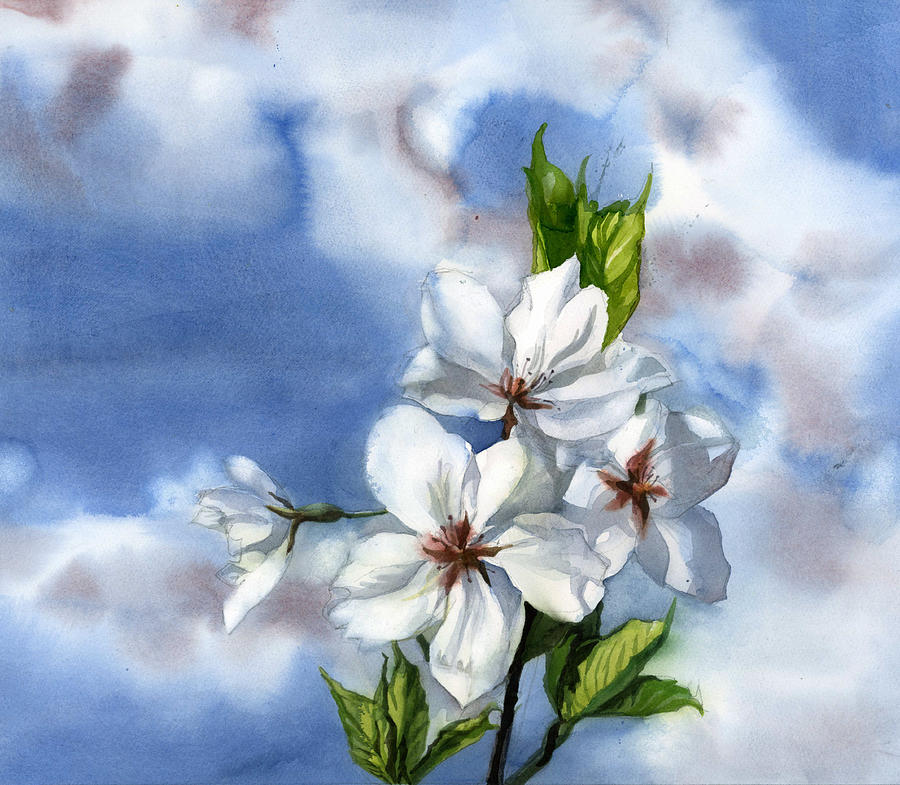 Cherry Blossom Time #1 Painting by Alfred Ng