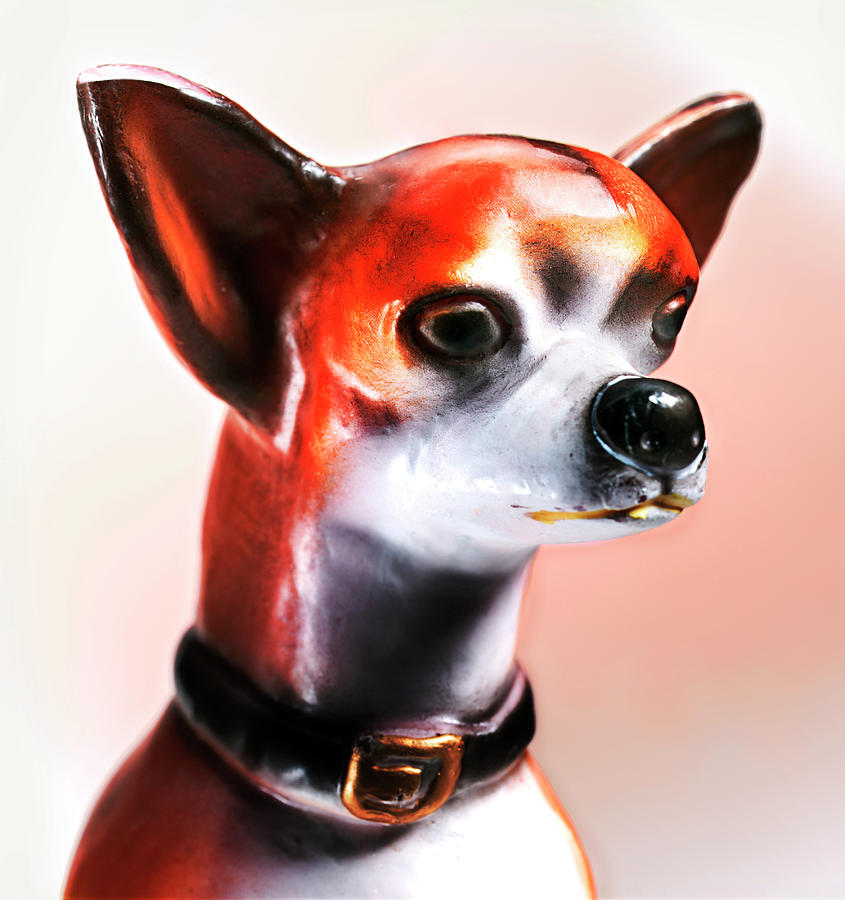 Vintage Drawing - Chihuahua Dog #1 by CSA Images