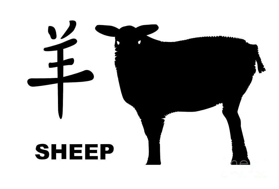 chinese new year sheep activities