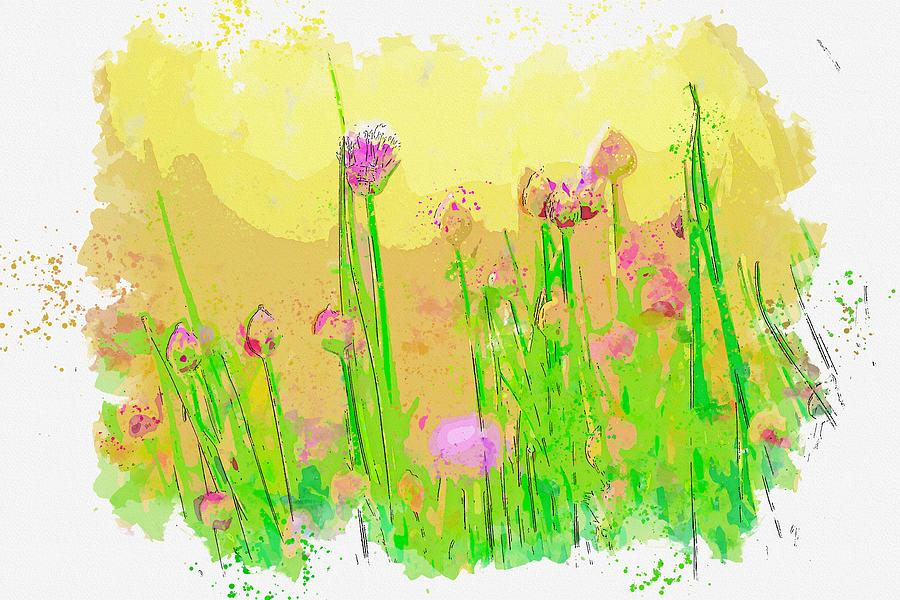 Spring Painting - Chives -  watercolor by Ahmet Asar #1 by Celestial Images