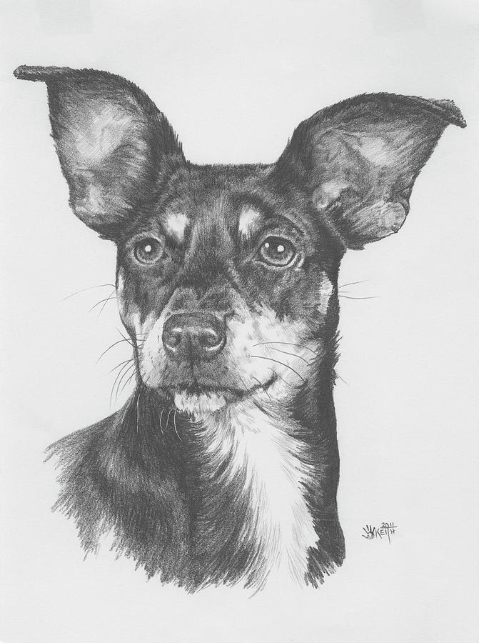 Chiweenie #1 Painting by Barbara Keith