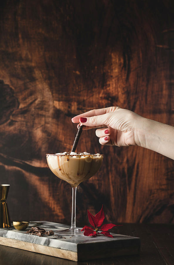 Chococolate Martini With Mini Marshmallows #1 Photograph by Carrie Ann Kouri