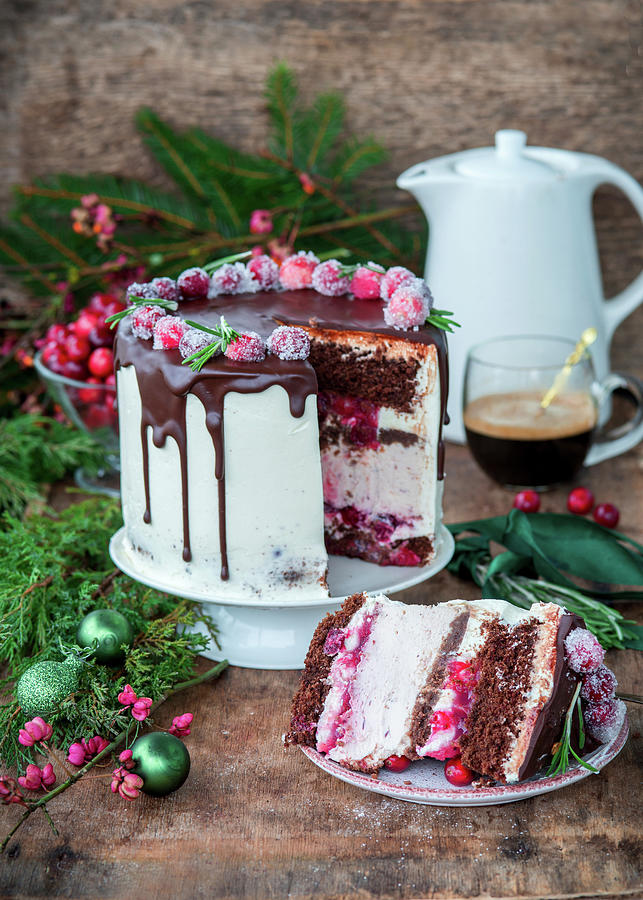Chocolate Cranberry Cake #1 Photograph by Irina Meliukh