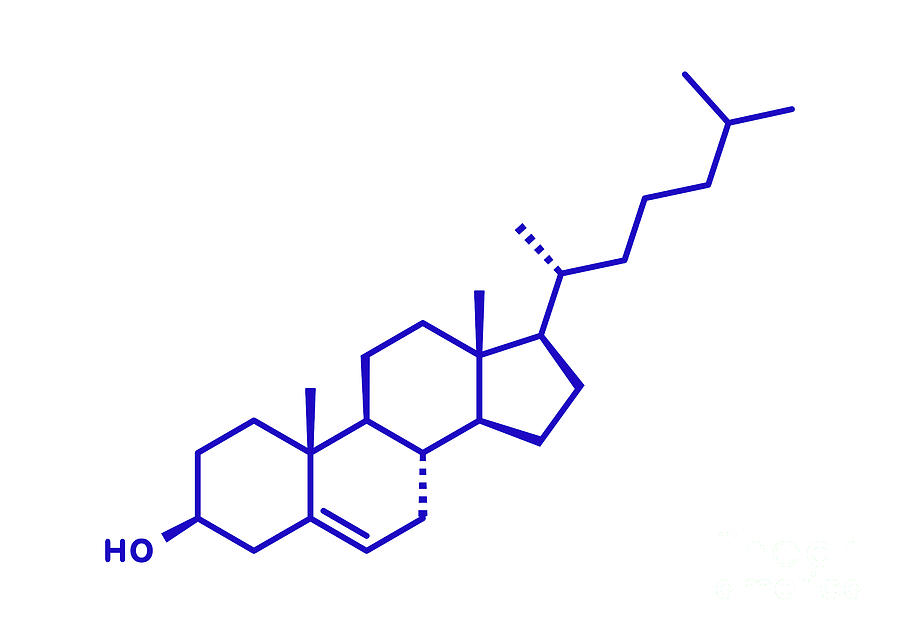 ldl chemical structure