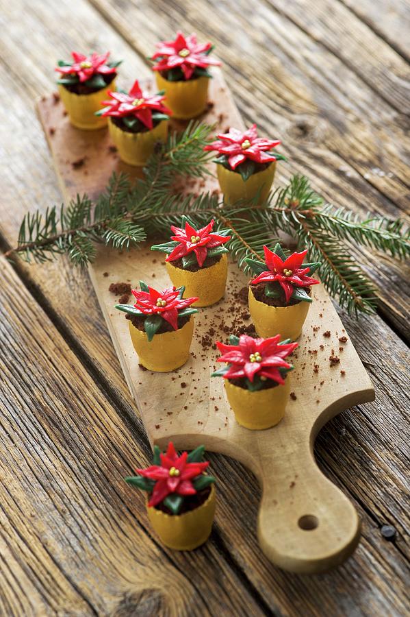 Christmas Confectionery: Poinsettias In Flower Pots #1 Photograph by Rita Newman