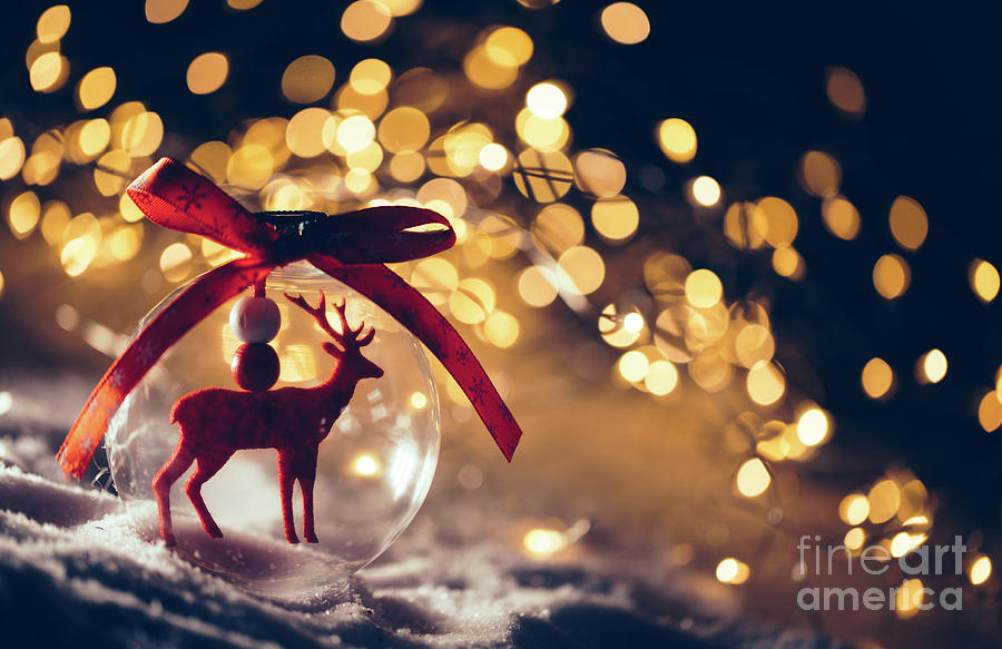 Christmas Photograph - Christmas glass ball with a reindeer inside on snow. #1 by Michal Bednarek