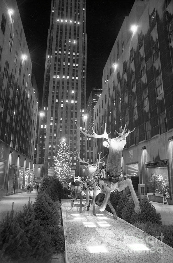 Christmas Tree At Rockefeller Center #1 Photograph by Bettmann