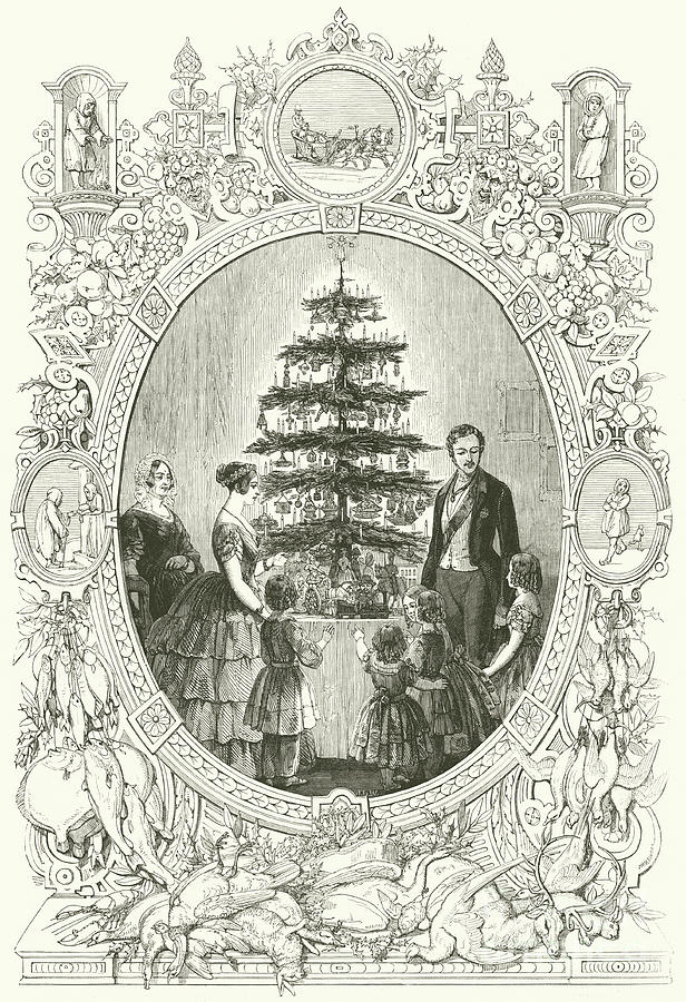 Christmas Tree at Windsor Castle Drawing by JL Williams