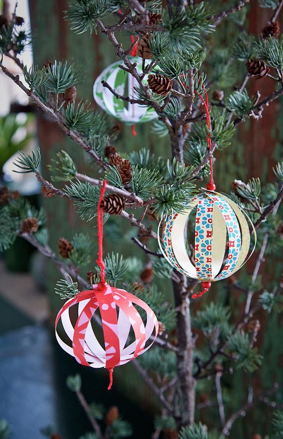 Christmas-tree Baubles Made From Paper Strips Hung From Larch Branches #1 Photograph by Martin Slyst