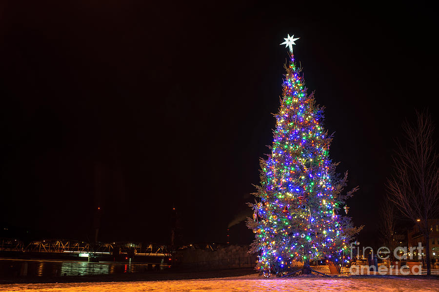 Christmas Tree in Stillwater 1 Photograph by David Parker Pixels