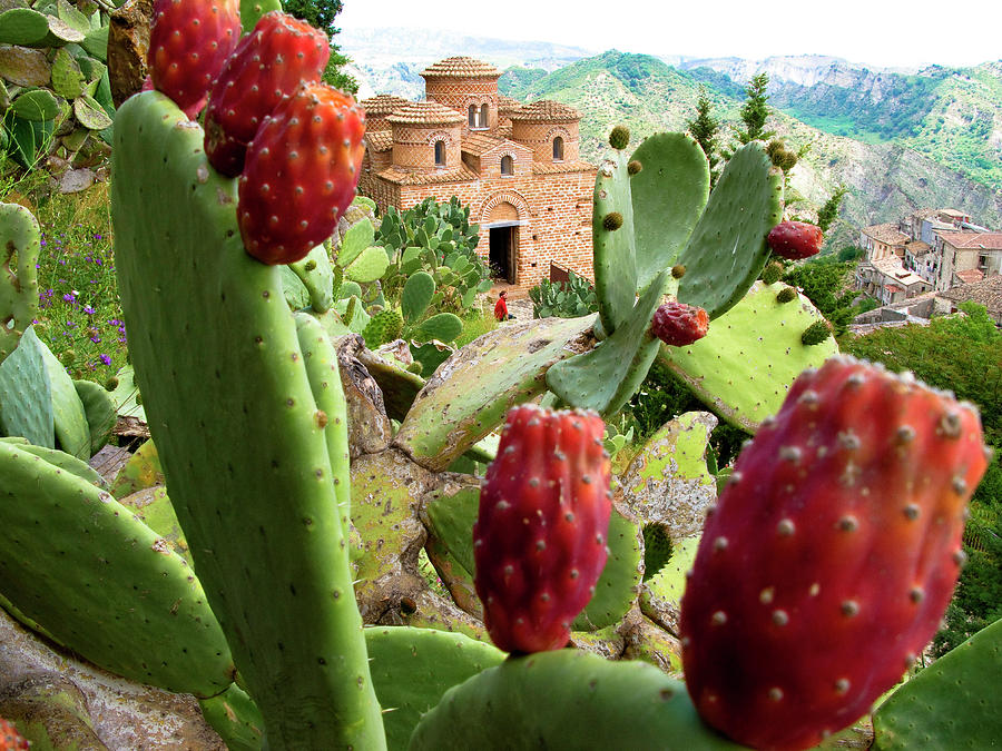 Church & Cacti, Calabria Italy #1 Digital Art by Giovanni Simeone