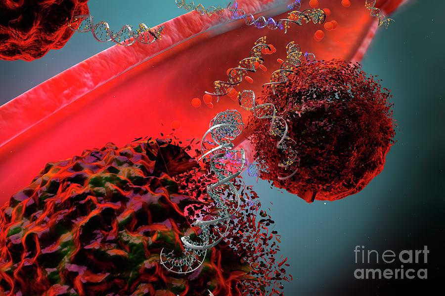 Circulating Tumor Dna Photograph By Ella Maru Studio Science Photo