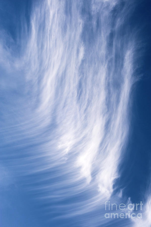 Cirrus Clouds Photograph