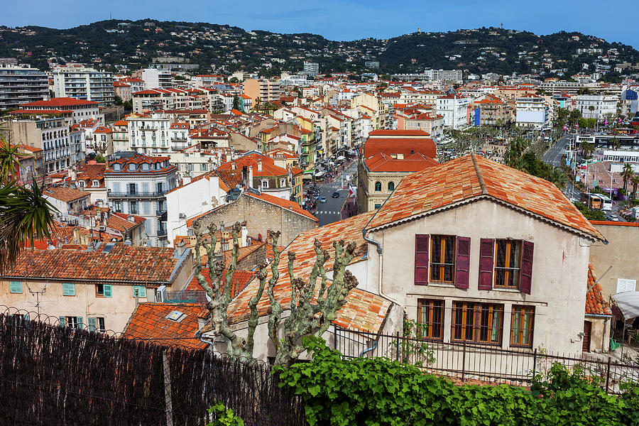 City of Cannes Cityscape in France #1 Photograph by Artur Bogacki